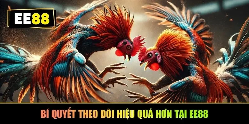 Bí quyết theo dõi hiệu quả hơn tại EE88