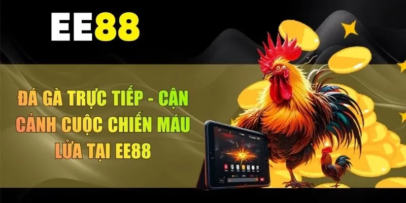 đá gà trực tiếp